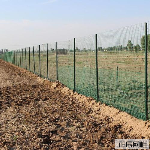 30米養(yǎng)雞護(hù)欄網(wǎng)60元一卷