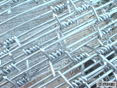刺鐵絲圍欄網(wǎng)