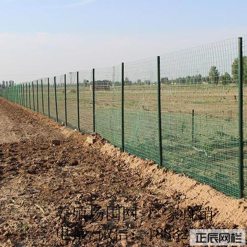 護欄網(wǎng)價格多少錢一卷