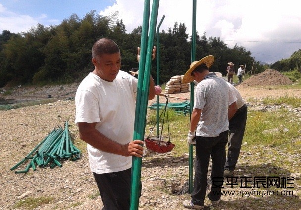 光伏鐵絲網(wǎng)護(hù)欄的施工安裝,光伏鐵網(wǎng)廠家