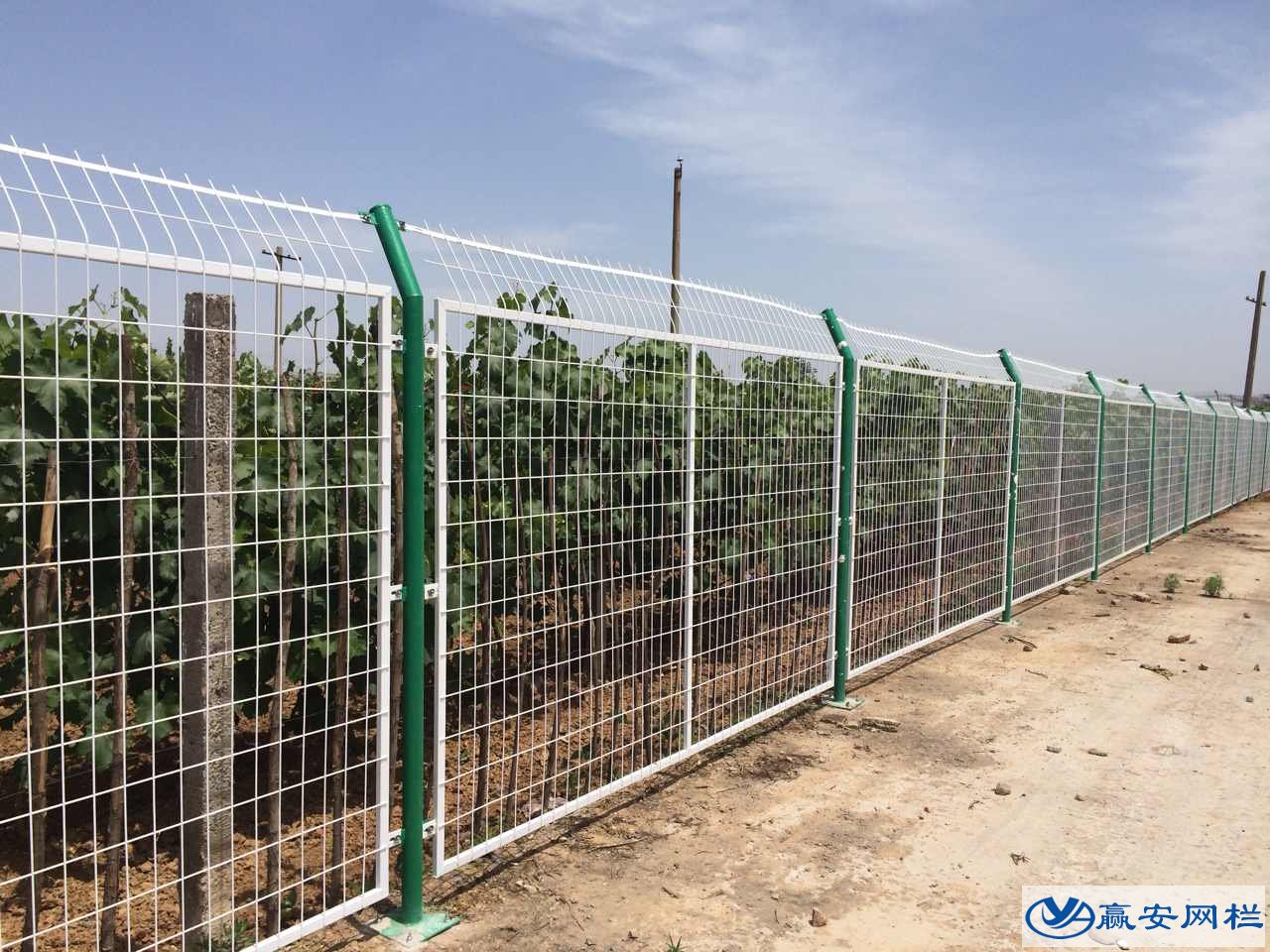 護(hù)欄網(wǎng)規(guī)格型號