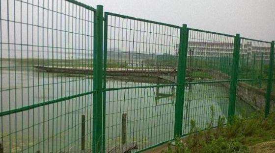 池塘護欄網(wǎng)