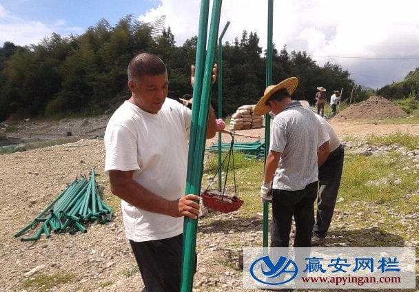 光伏電站圍欄網(wǎng)