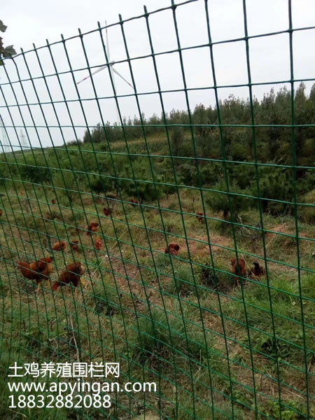 土雞養(yǎng)殖圍欄網(wǎng)