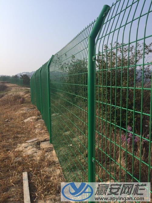 森林護(hù)欄網(wǎng)