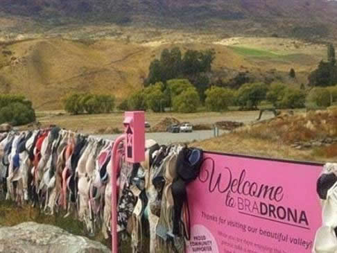 新西蘭內(nèi)衣圍欄