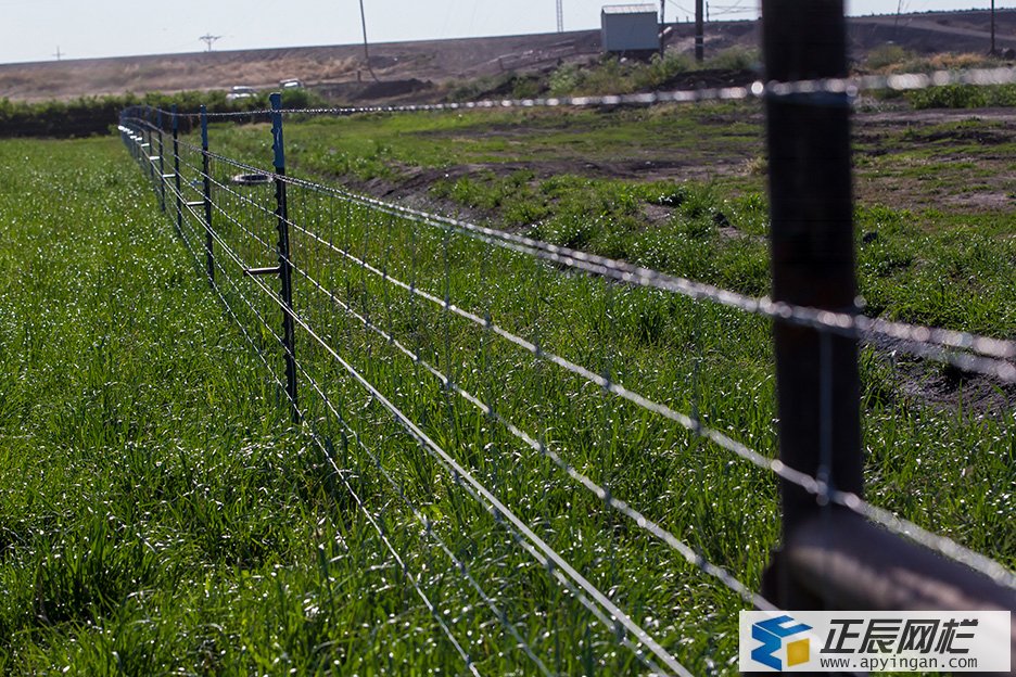 養(yǎng)殖場圍欄網(wǎng)