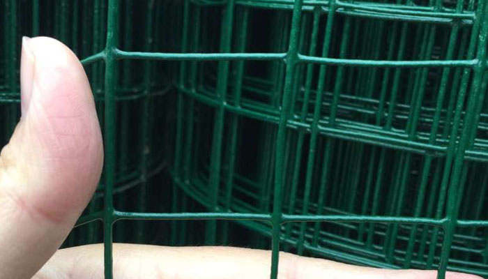 養(yǎng)雞護(hù)欄網(wǎng)