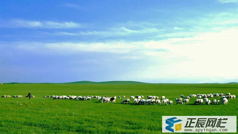 鐵絲護欄網(wǎng)