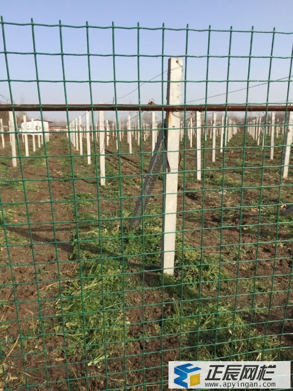 養(yǎng)殖場(chǎng)圍欄網(wǎng)