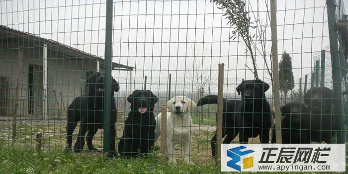 養(yǎng)殖場(chǎng)圍欄網(wǎng)