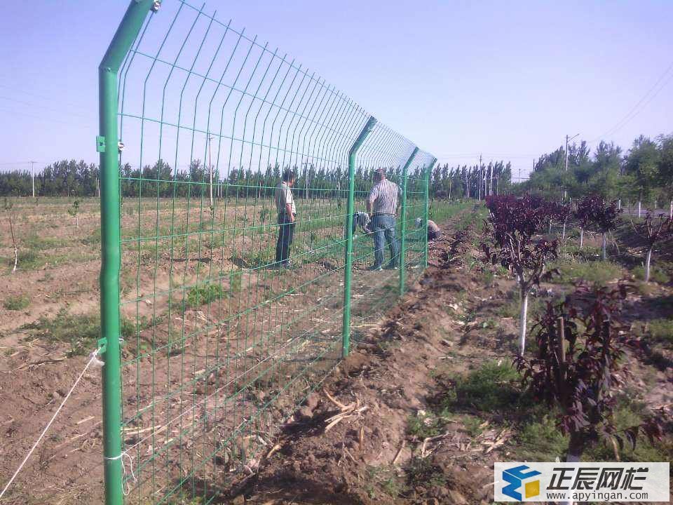 圈地護(hù)欄網(wǎng)