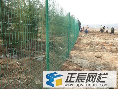 圈地護(hù)欄網(wǎng)