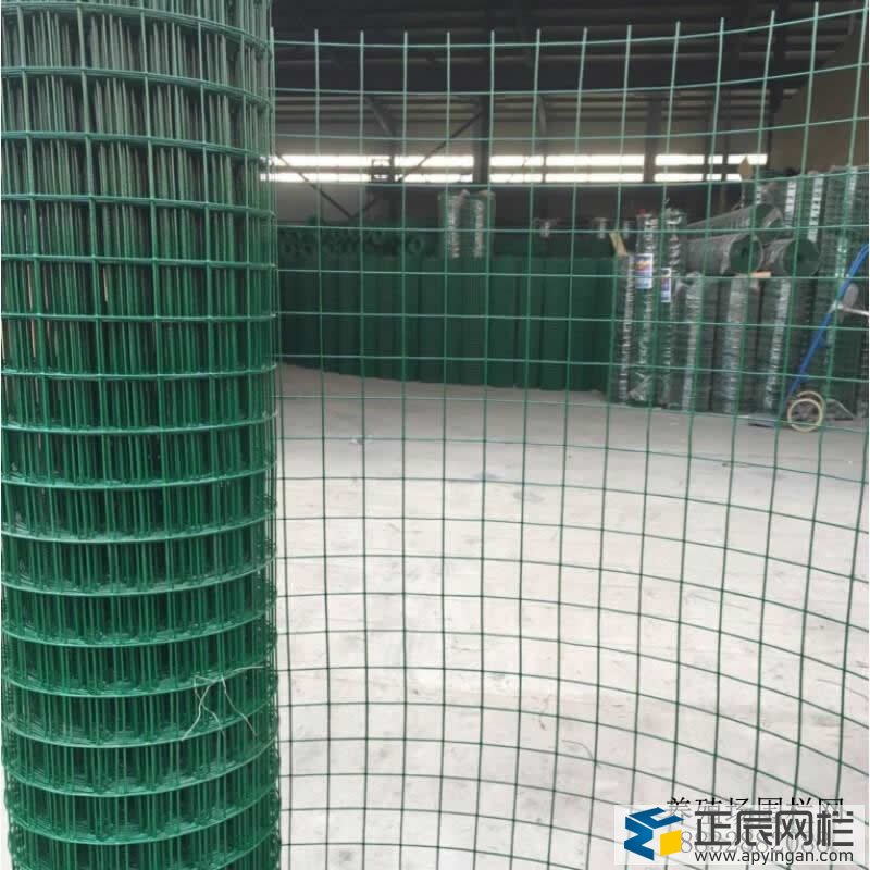養(yǎng)雞用圍欄網(wǎng)圖片