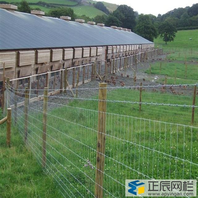 養(yǎng)殖鐵絲網(wǎng)