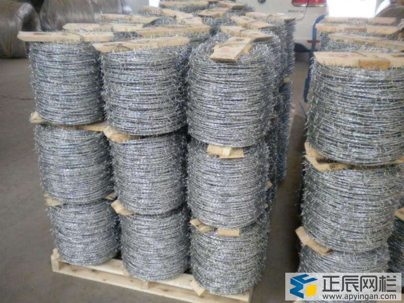 刺繩護(hù)欄網(wǎng)多少錢一米