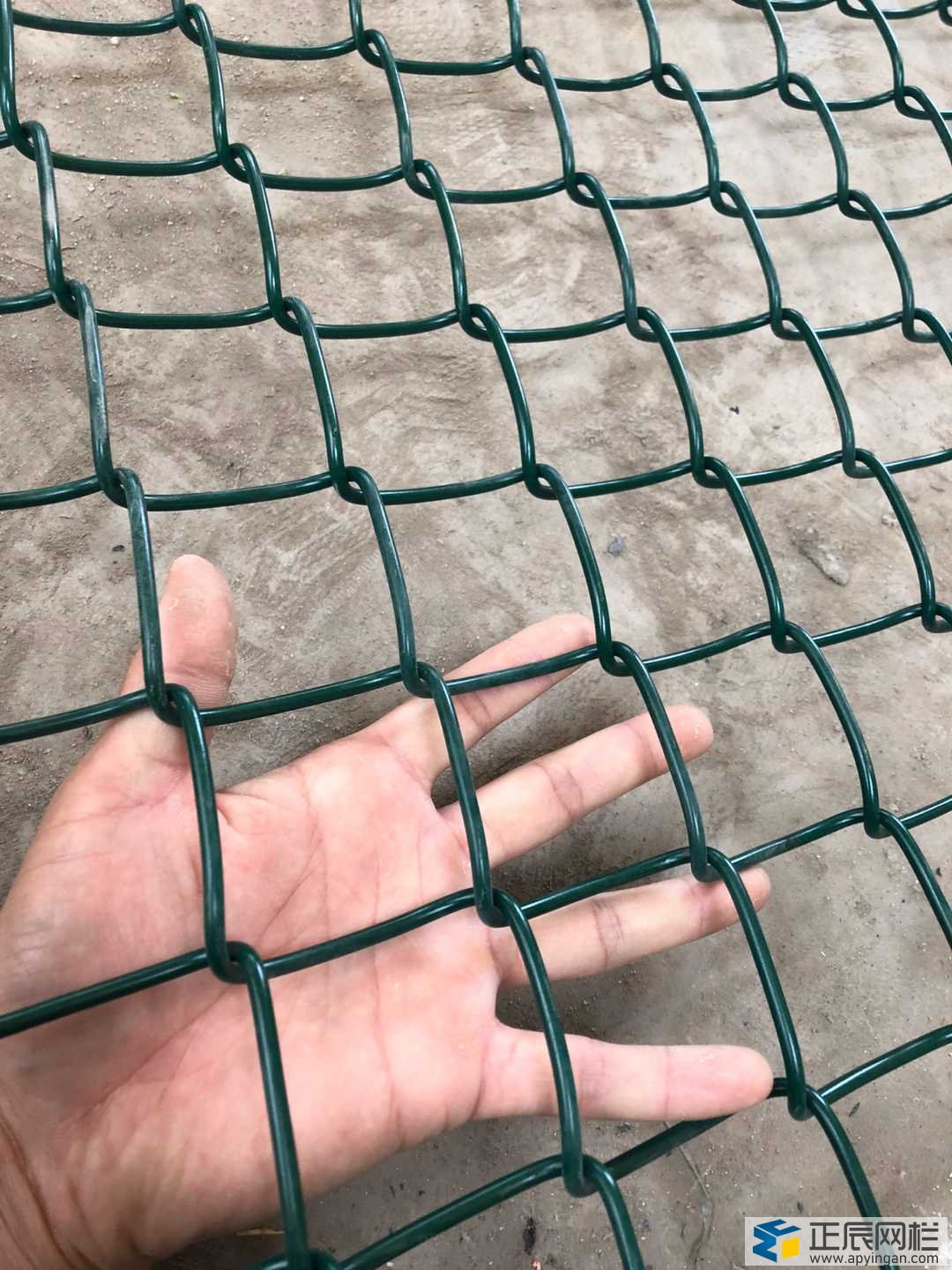 球場圍欄網(wǎng)批發(fā)價(jià)格