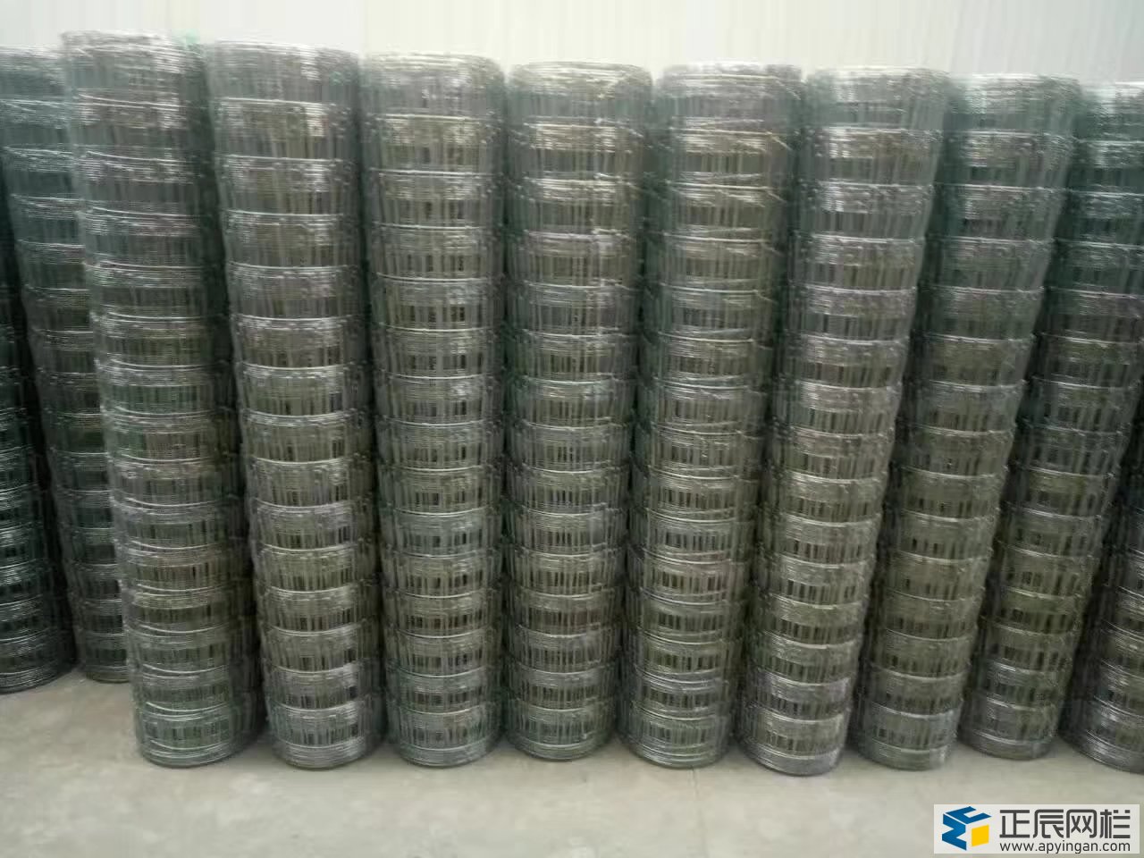 護欄網廠家現(xiàn)貨供應