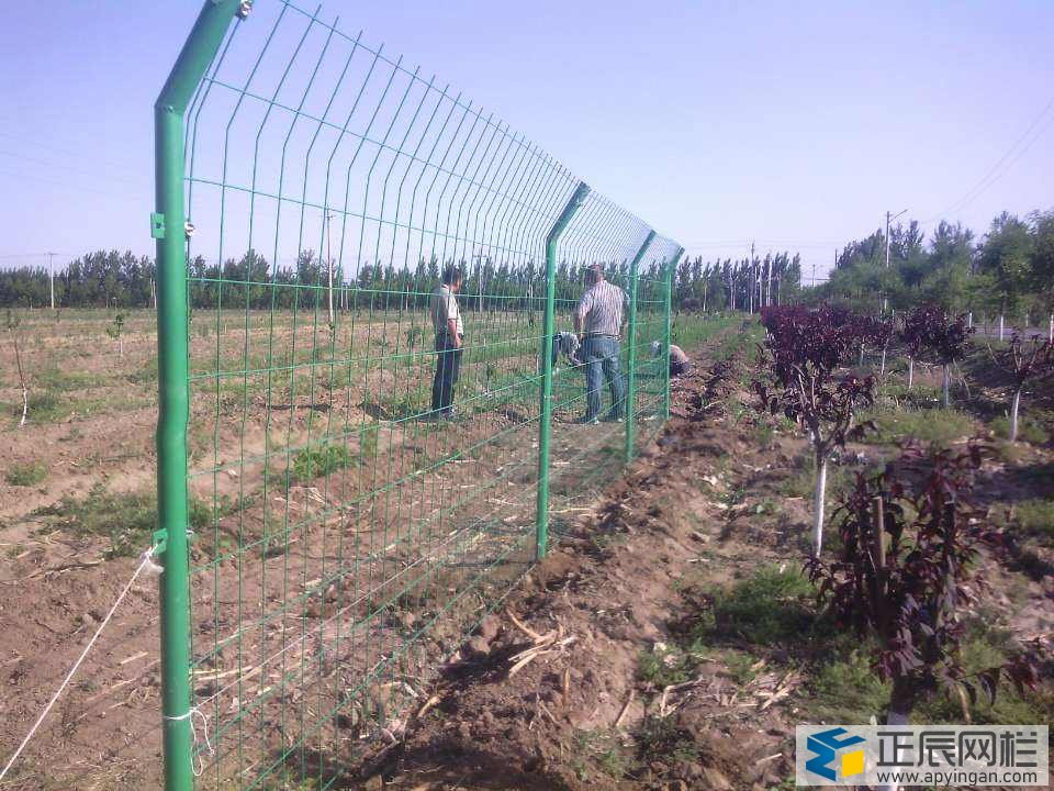 30元一套雙邊絲護欄網(wǎng)