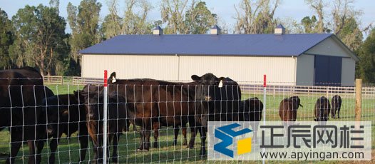 養(yǎng)牛護(hù)欄