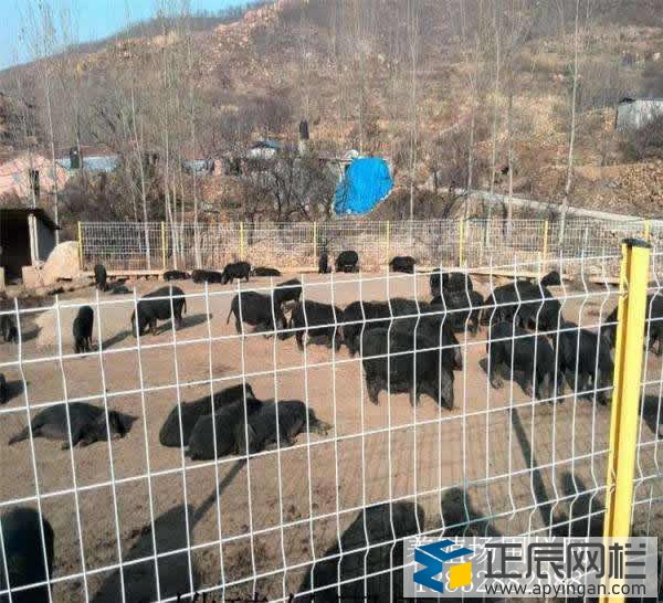 養(yǎng)殖護欄網(wǎng)