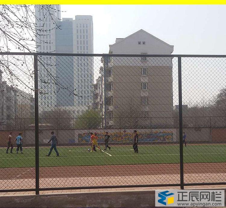 中小學校園護欄網(wǎng)